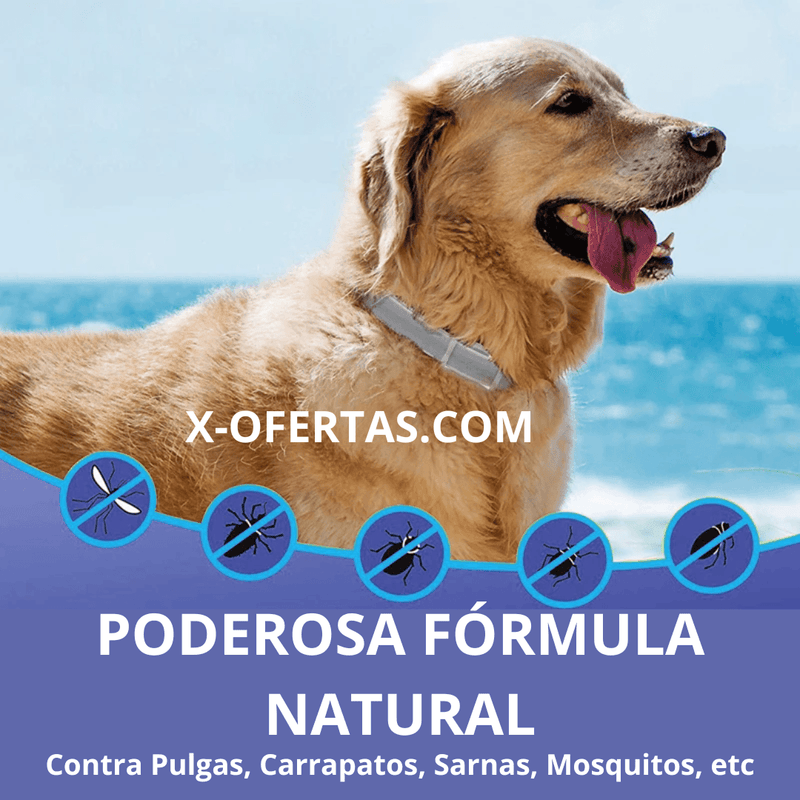 COLEIRA ANTIPULGAS PARA CACHORROS E GATOS - 8 MESES DE PROTEÇÃO - X-OFERTAS.com